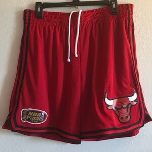 Chicago bulls NBA Finals Large 1998 Red Men's Shorts